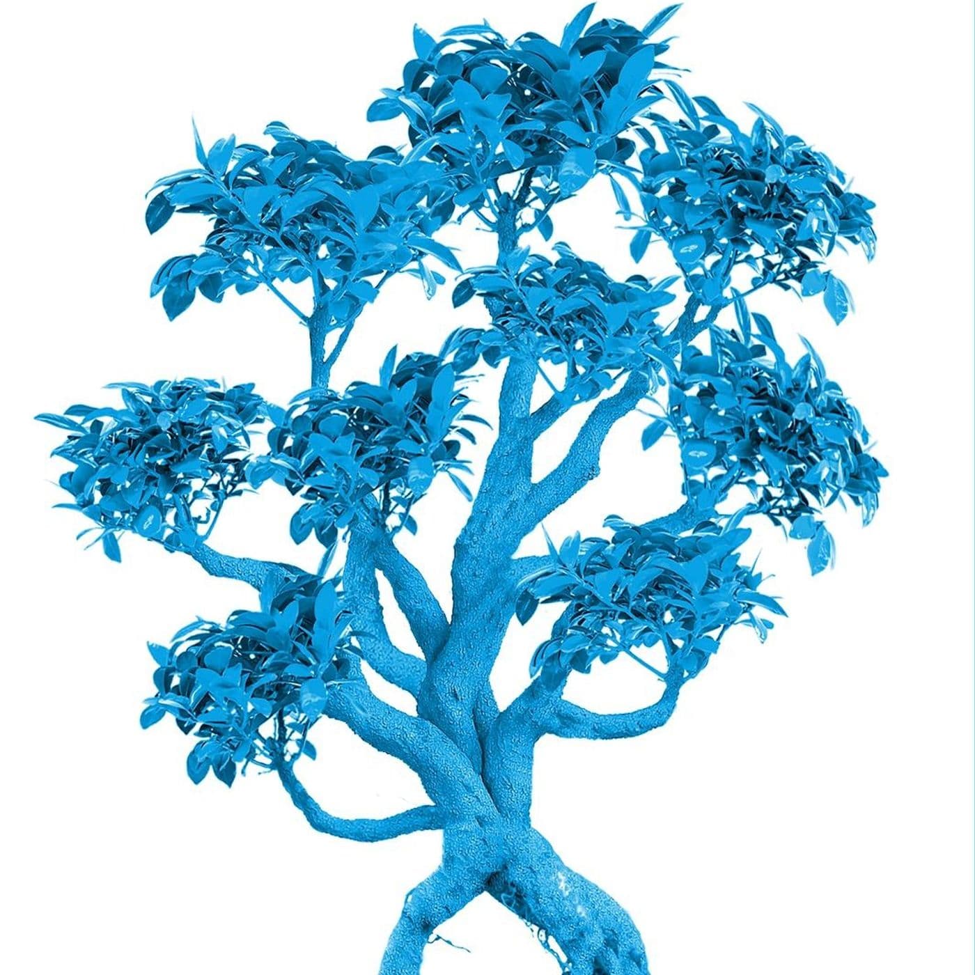 Pillole di Bonsai - Podcasts
