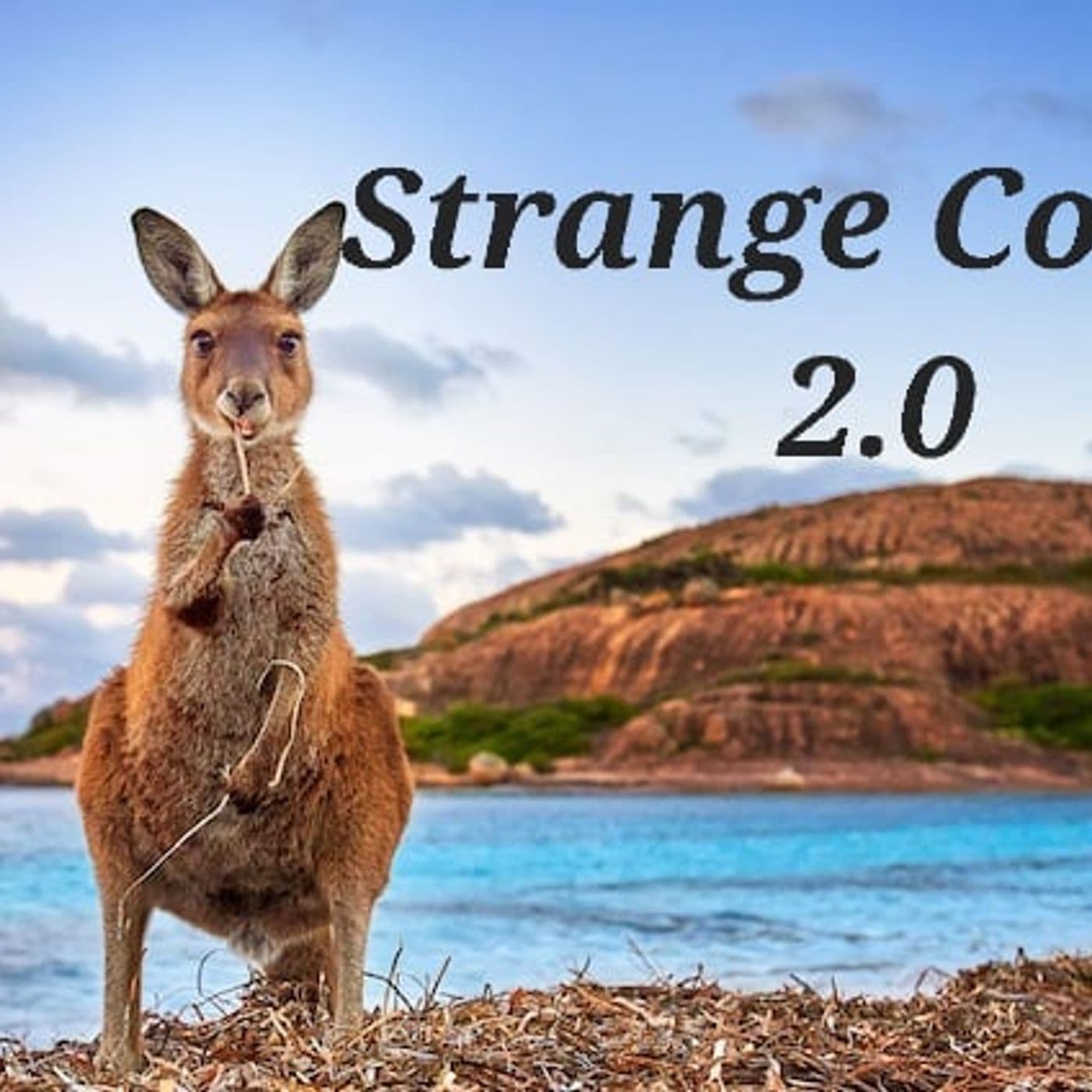 Strange Colony