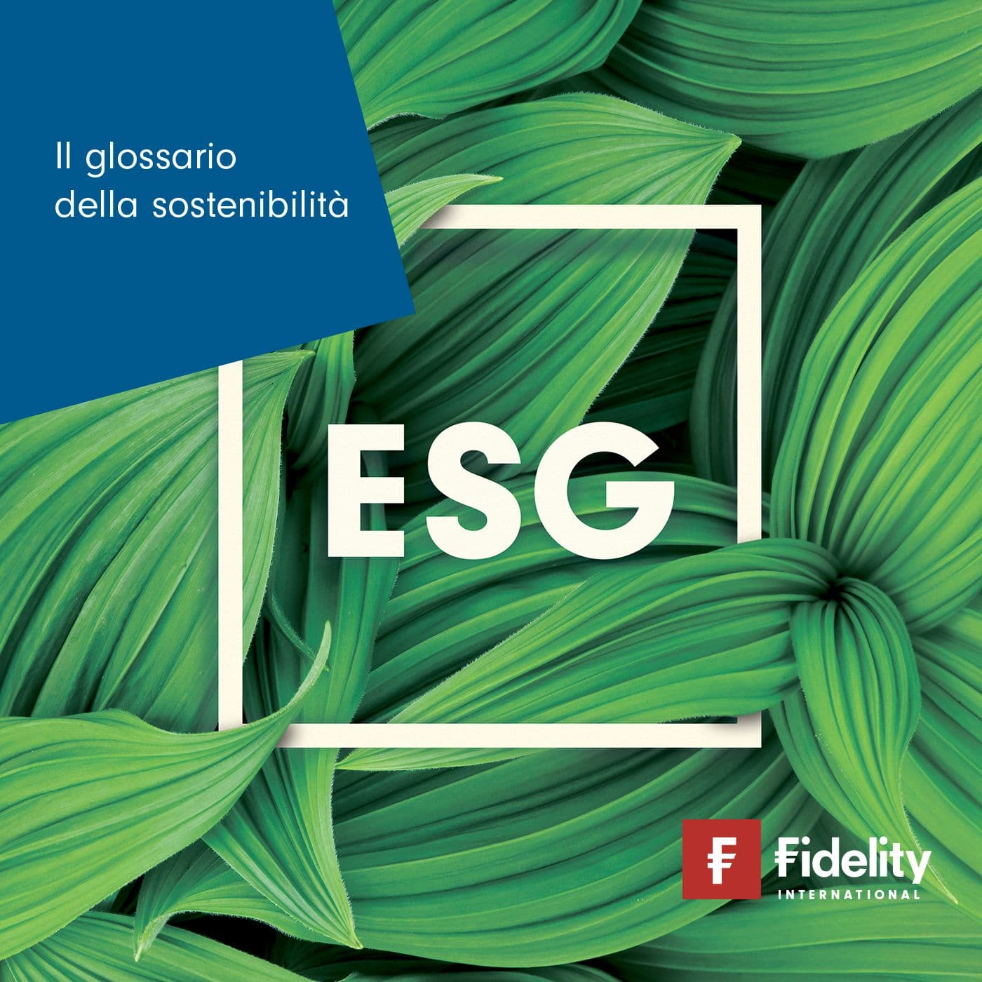 Il glossario della sostenibilità