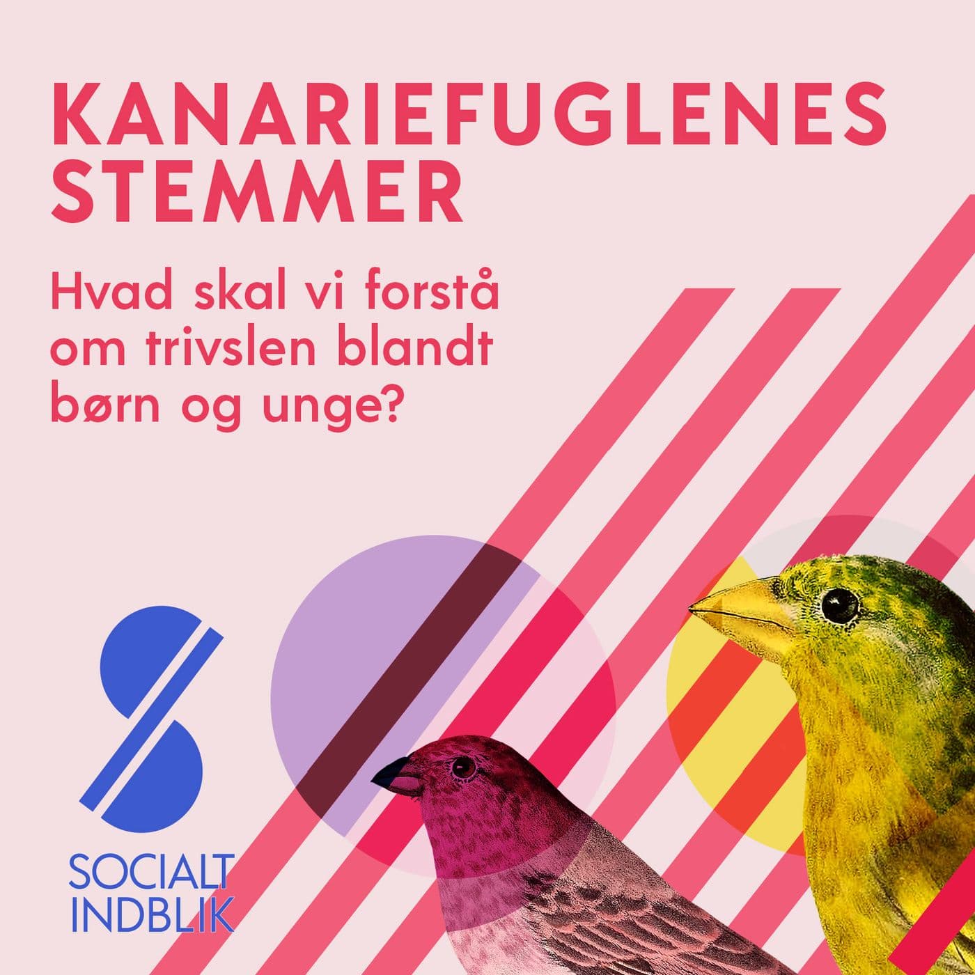 Kanariefuglenes stemmer - Podcasts