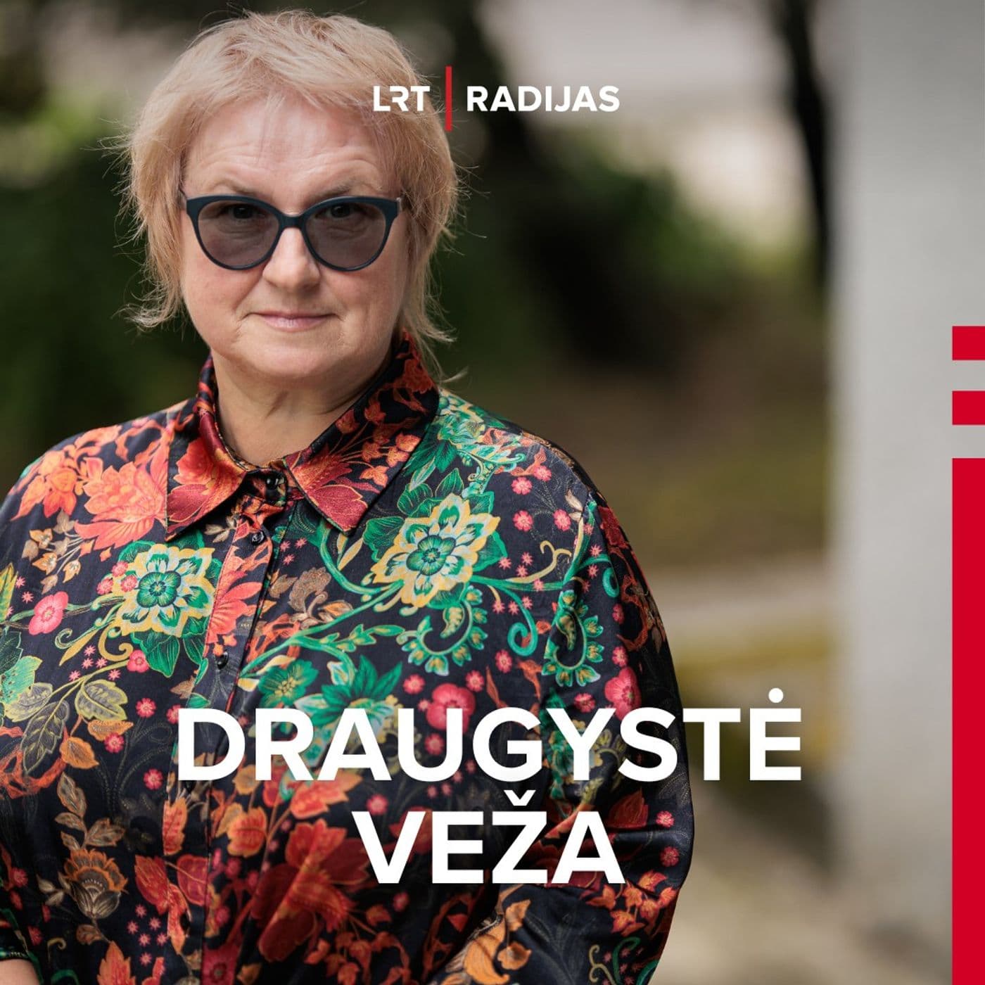 Draugystė veža - Podcasts