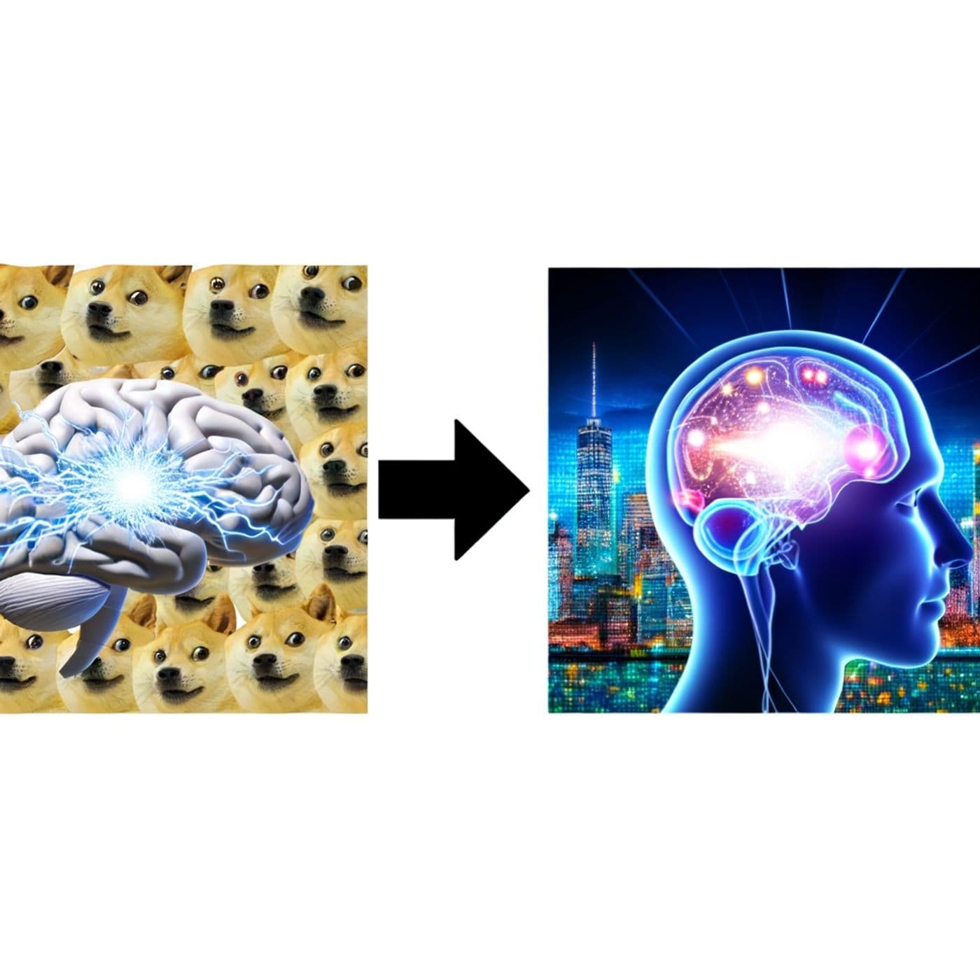 Gov Efficiency Beyond Meme: DOGE Thinking Work? - Podcasts