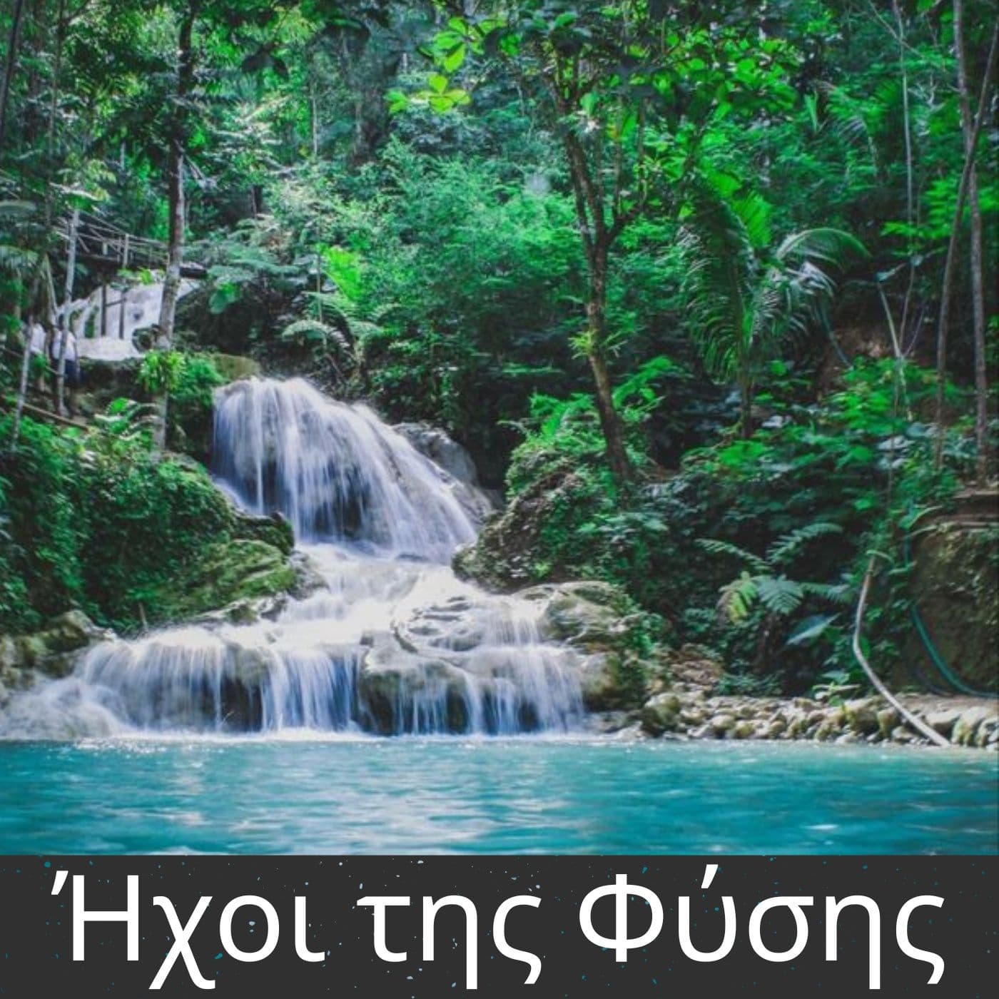 Ήχοι της Φύσης - Podcasts