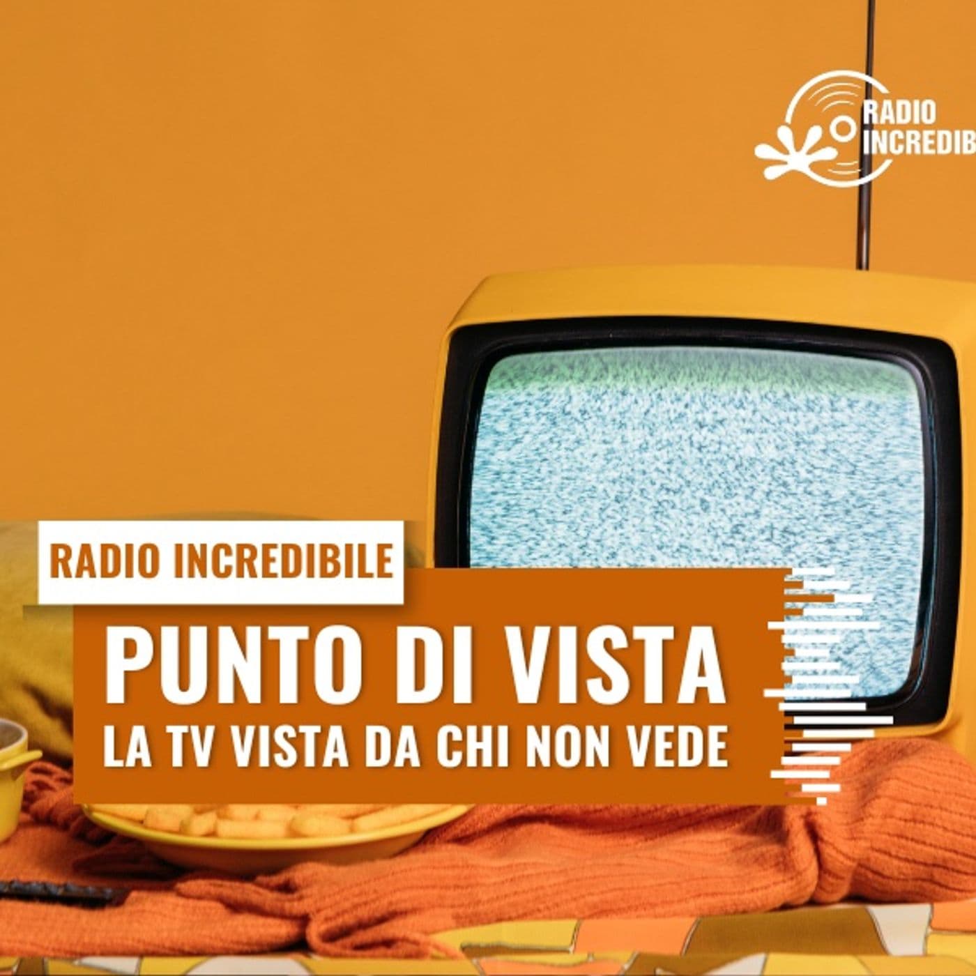 Punto di Vista - la TV vista da chi non vede - Podcasts