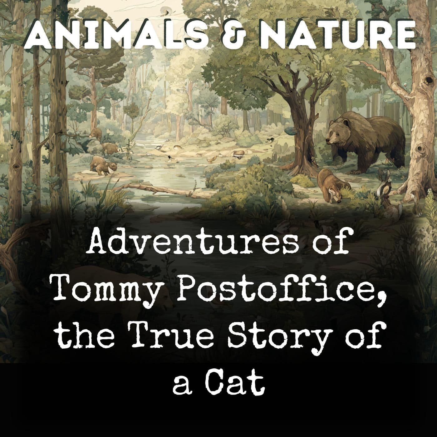 Adventures of Tommy Postoffice, the True Story of a Cat - Podcasts