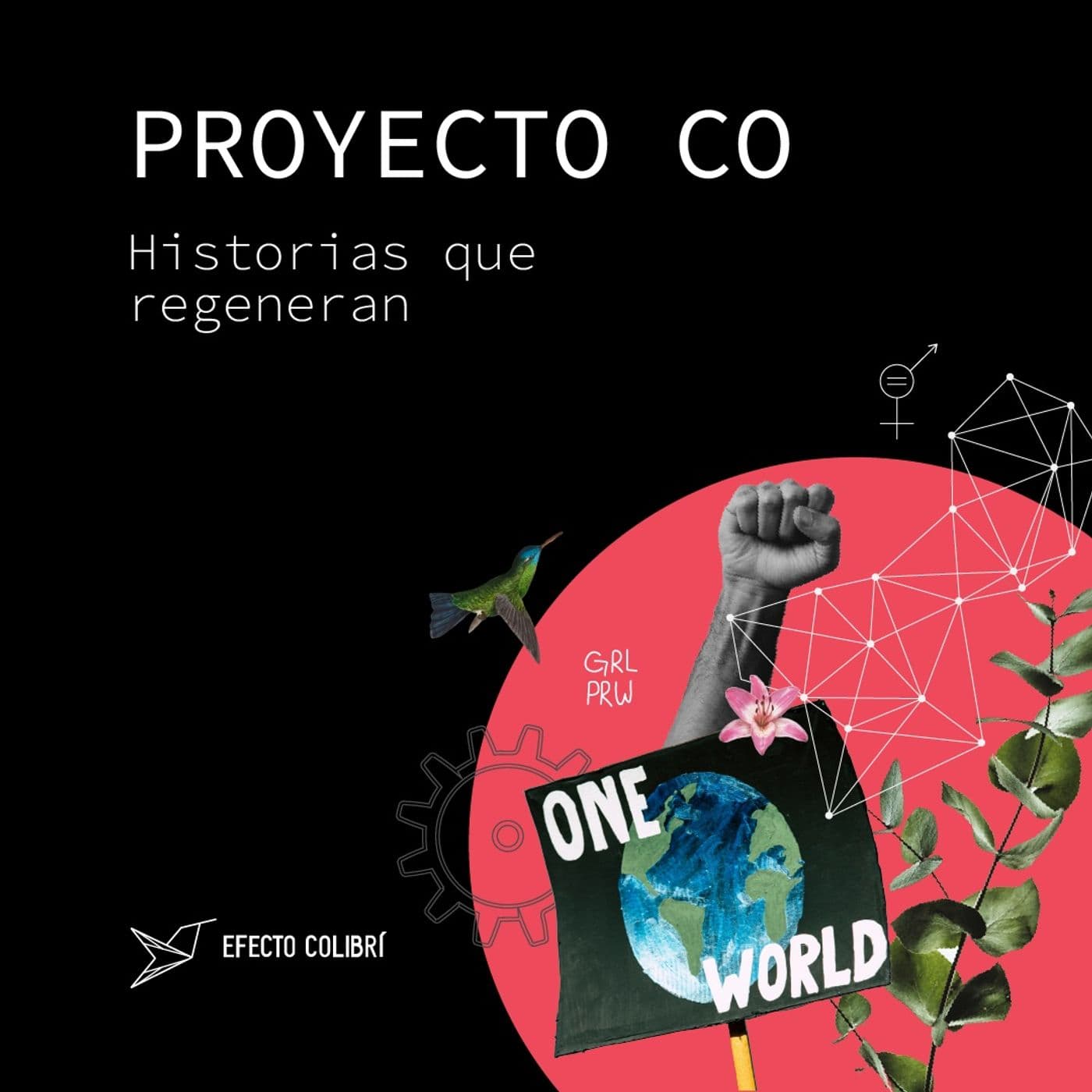 Proyecto Co - Podcasts