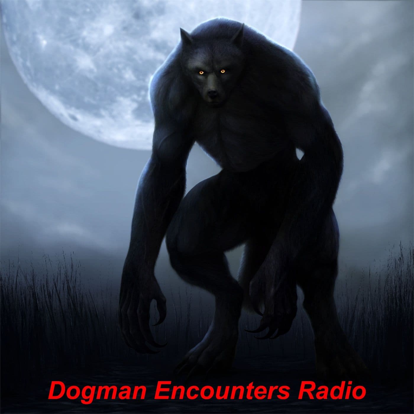 Dogman Encounters Radio - Podcasts