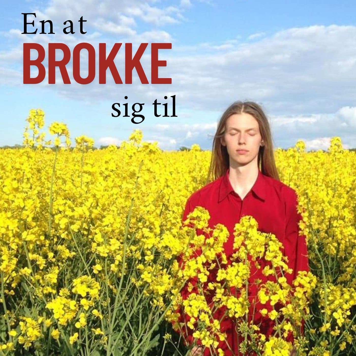 En at brokke sig til - Podcasts