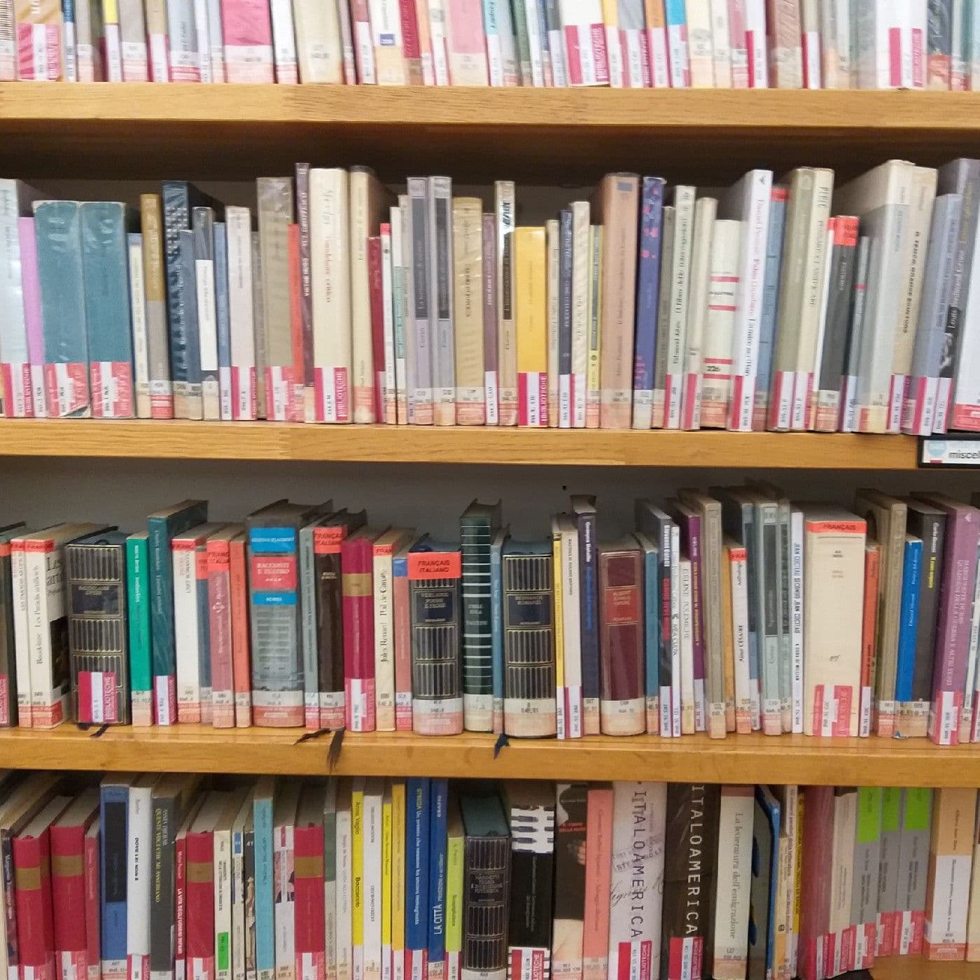 Libri-Giornali-Notizie-Attualita"