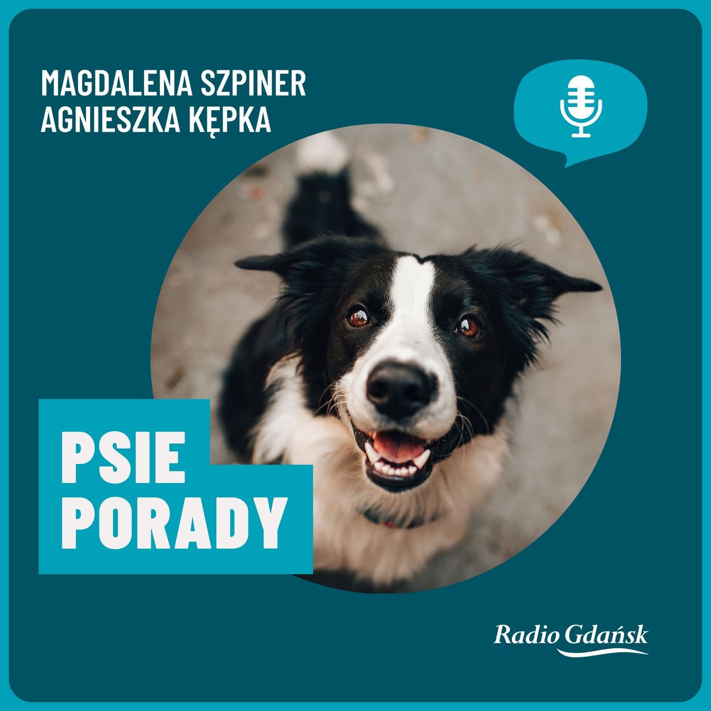 Psie Porady - Podcasts