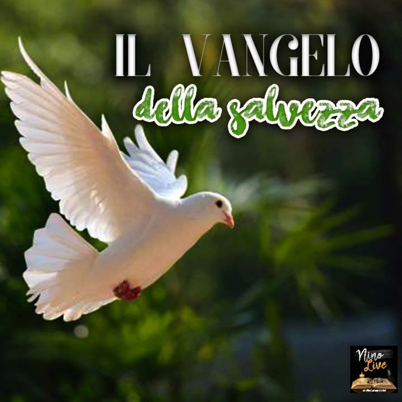 Il Vangelo della Salvezza " Past. Umberto Nettuno" - Podcasts