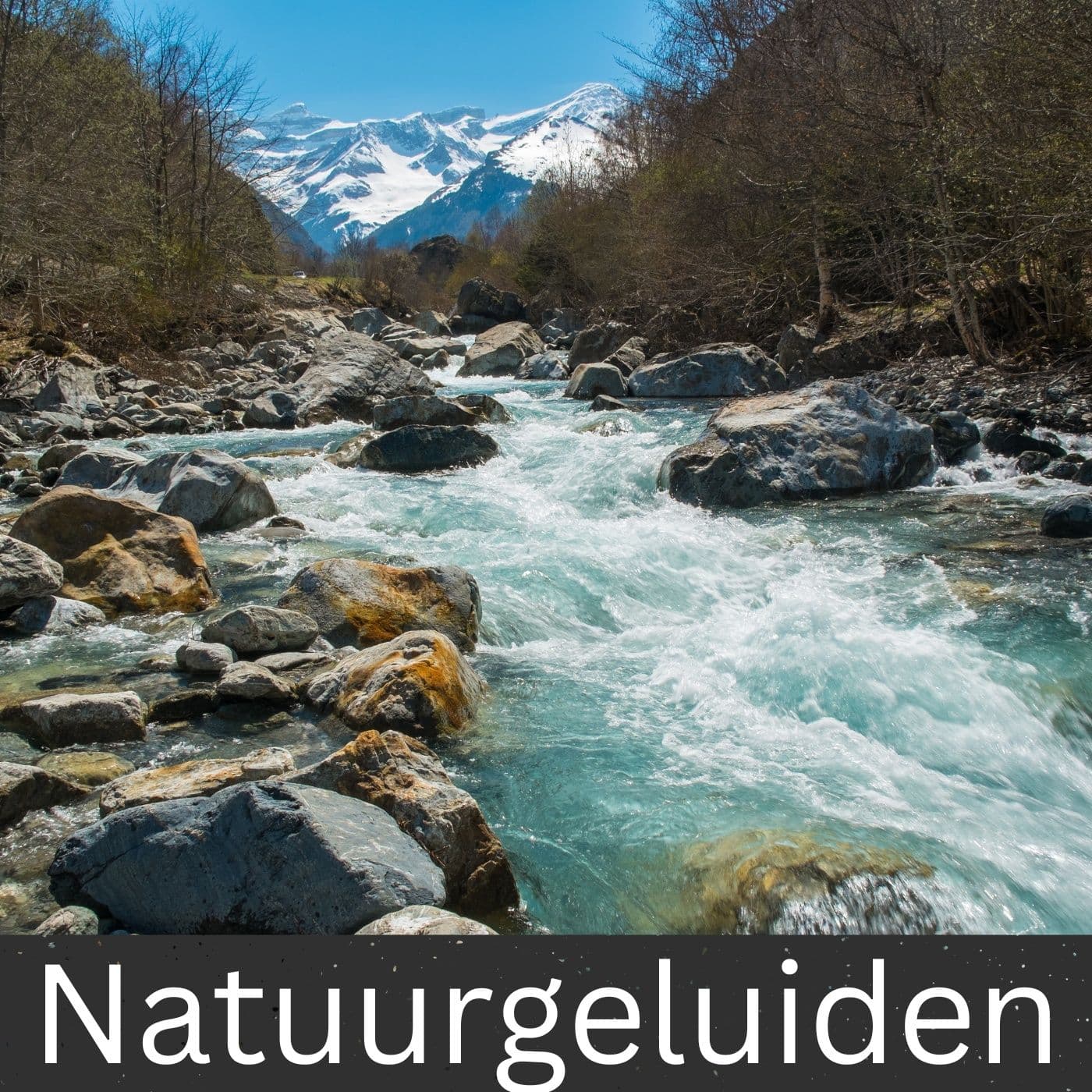 Natuurgeluiden - Podcasts