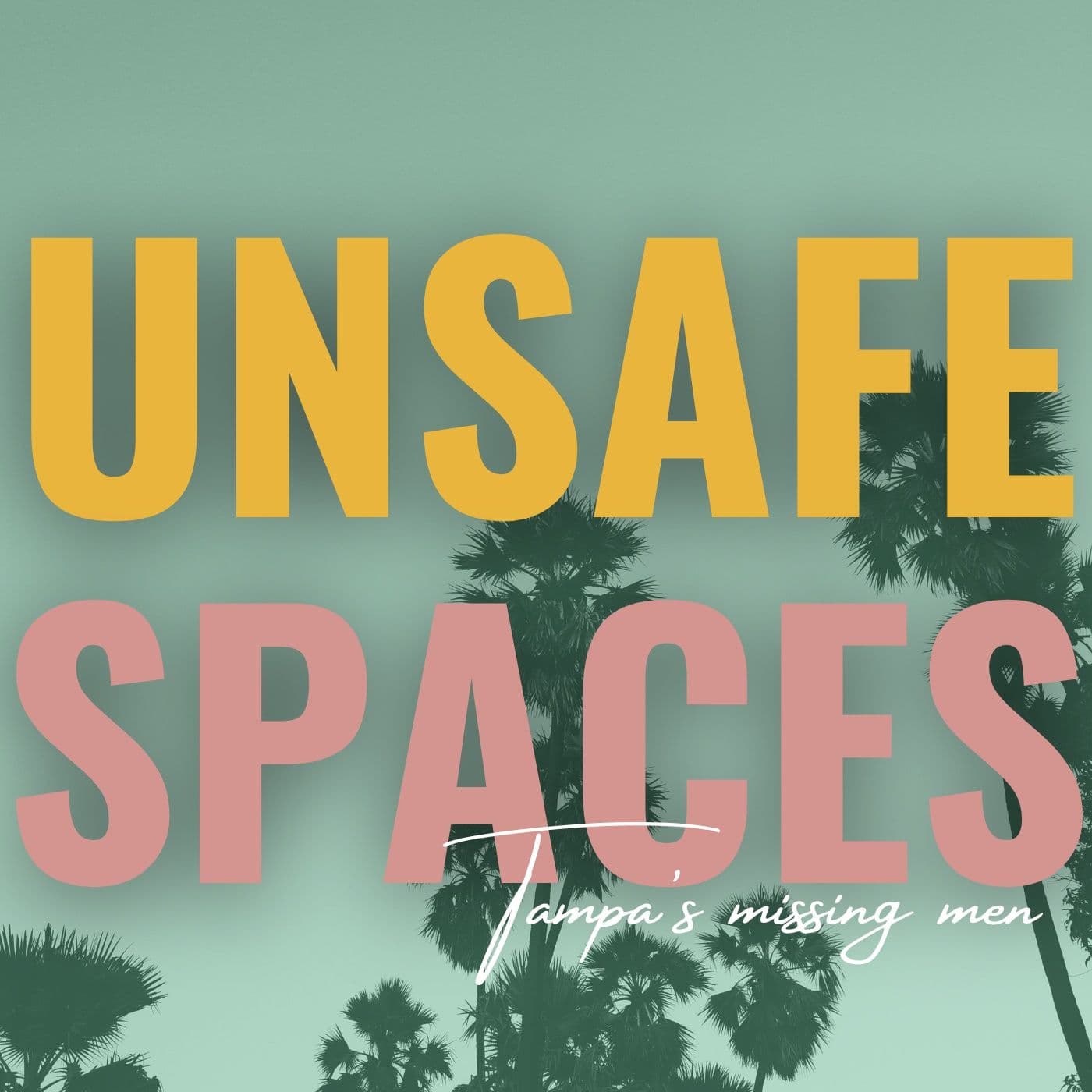 Unsafe Spaces: Tampa's Missing Men - Podcasts