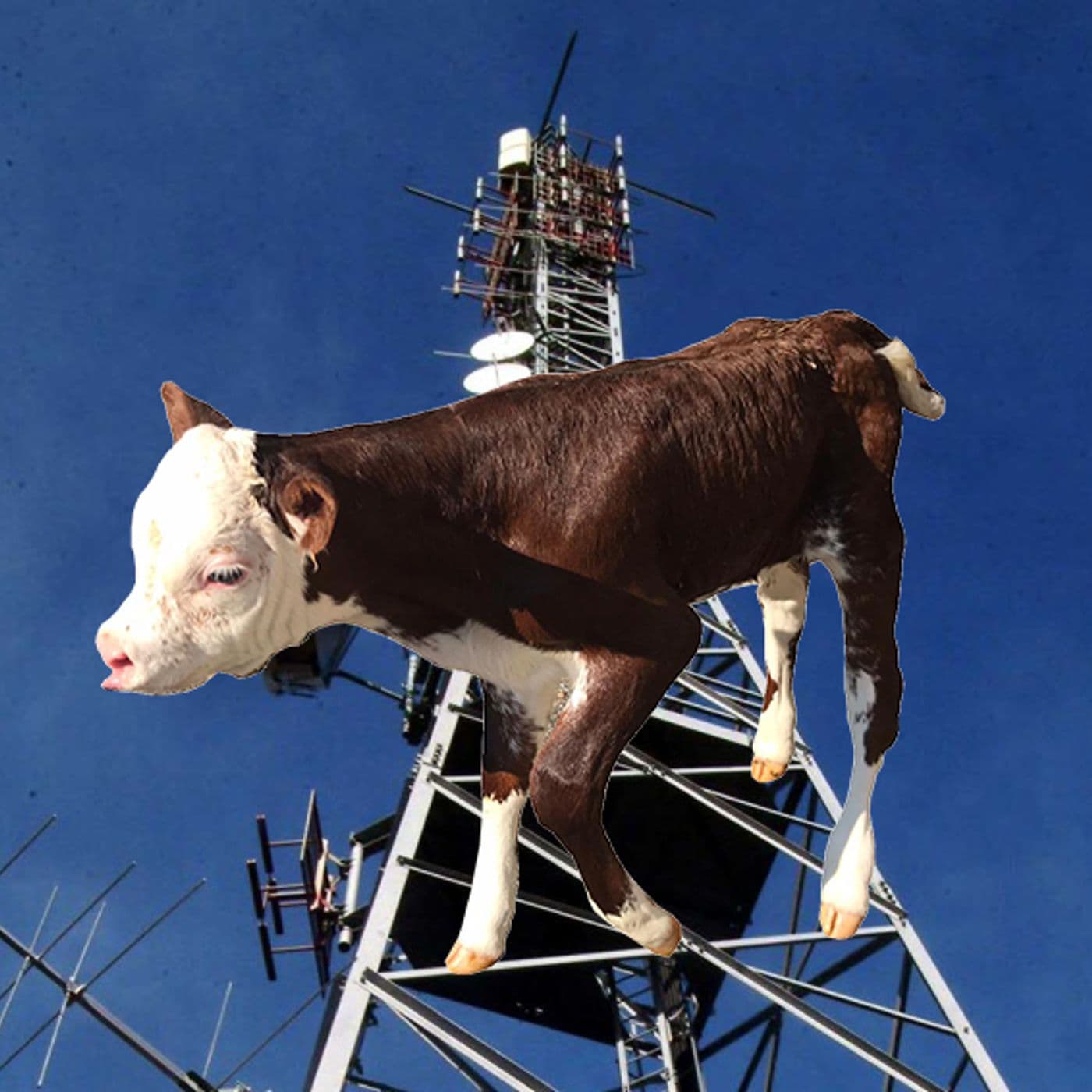AgriRadioAntena - Podcasts