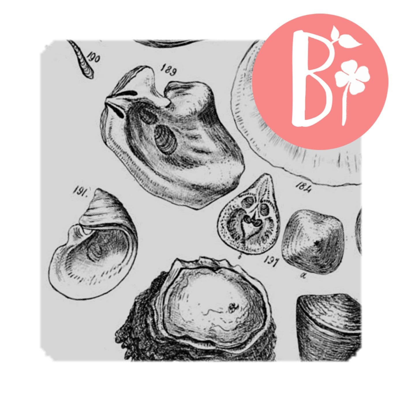 Audiolibri di Mare - Podcasts