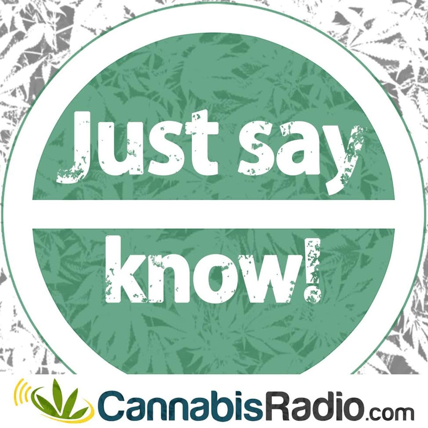 Just Say Know - Podcasts