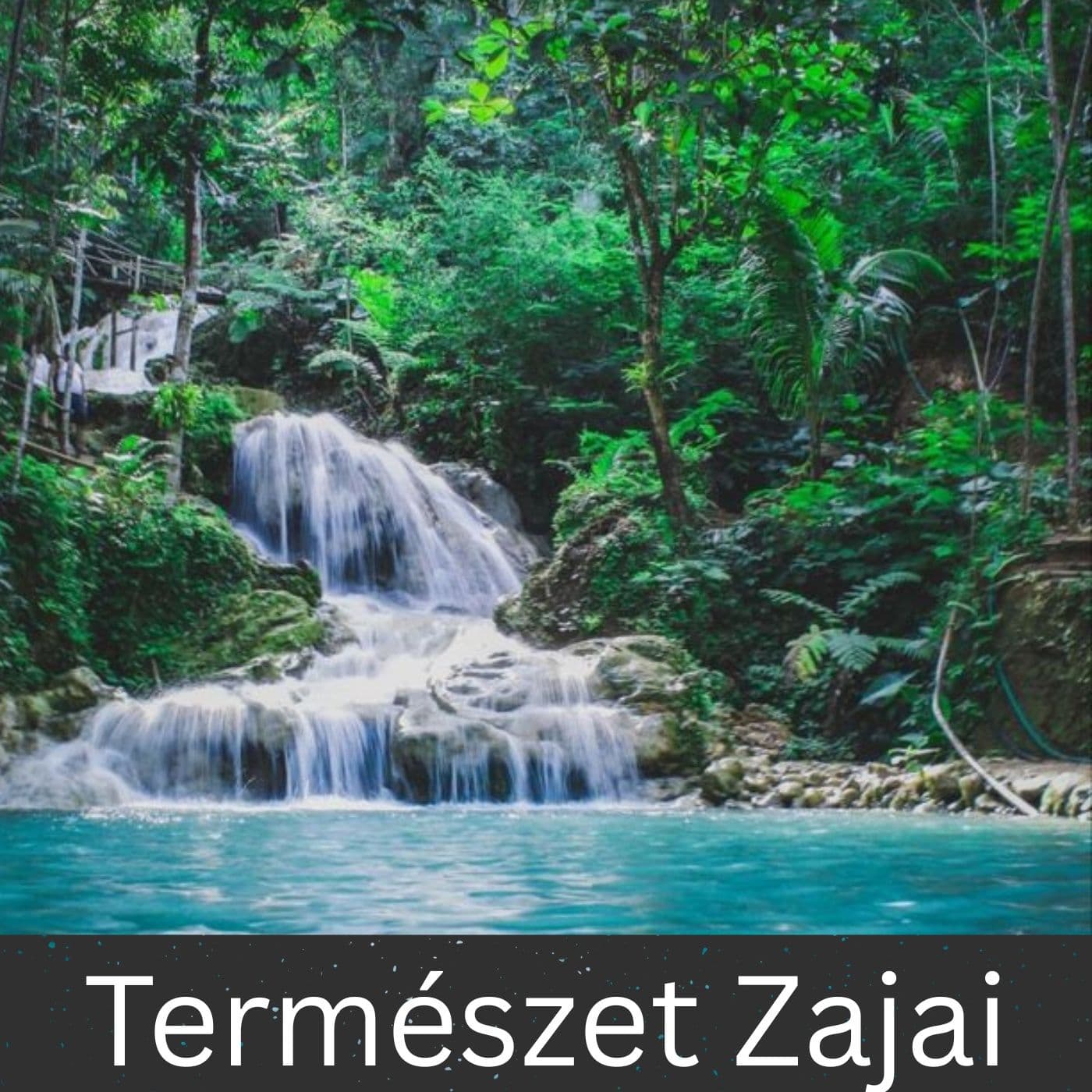 Természet Zajai - Podcasts