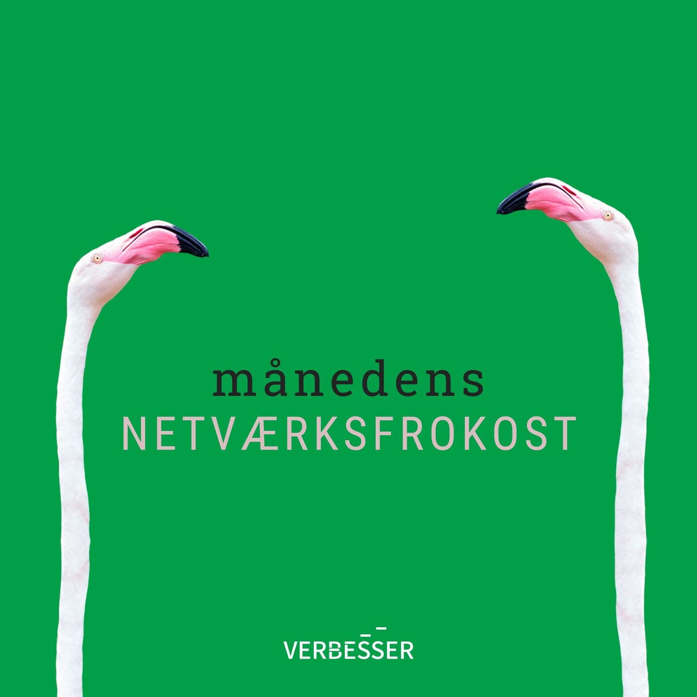 Månedens Netværksfrokost - Podcasts