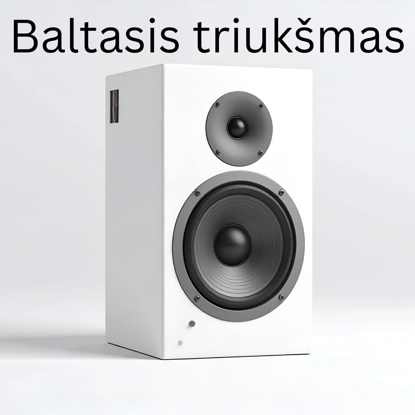 Baltasis triukšmas - Podcasts