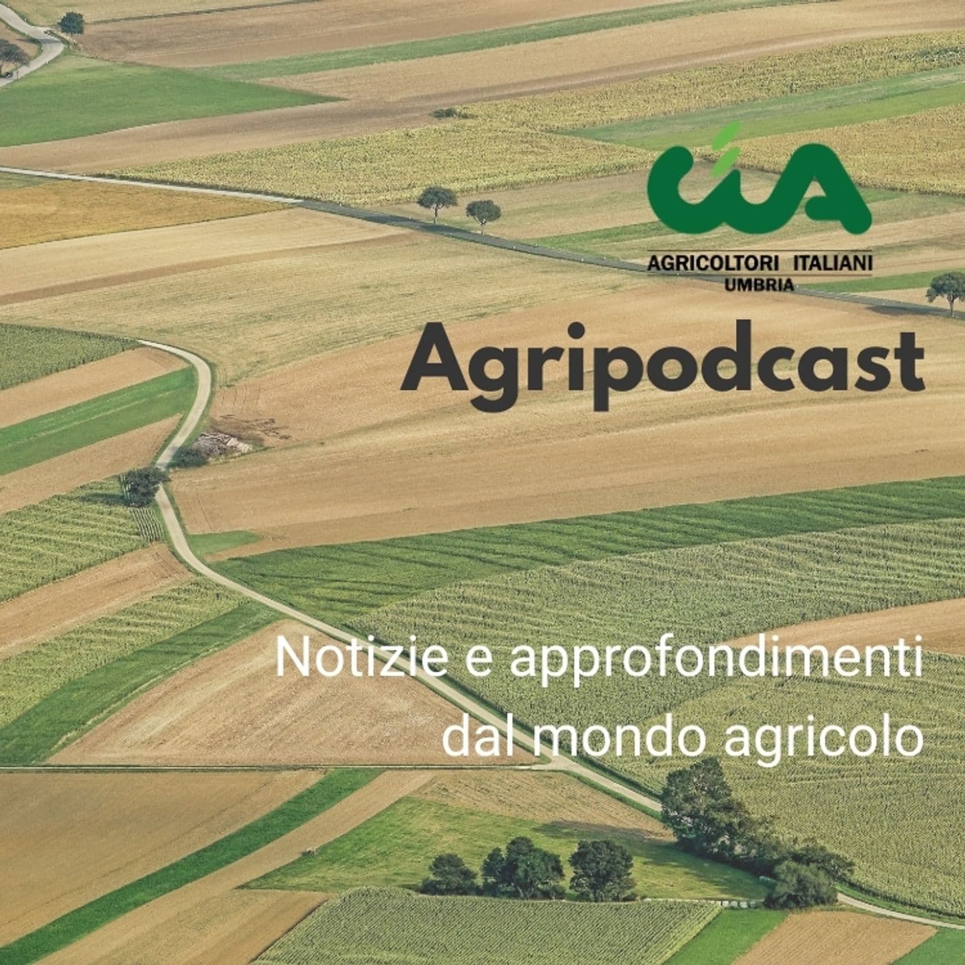 Cia Umbria Agripodcast