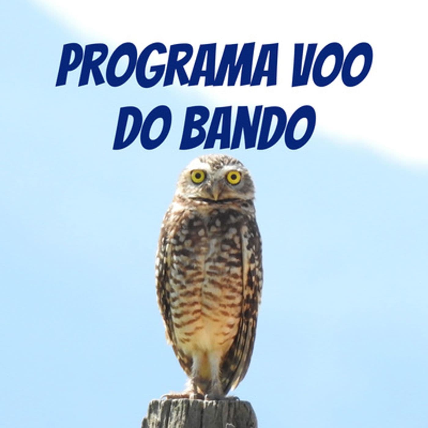Dion'ei Mariño - Programa Voo do Bando - Podcasts