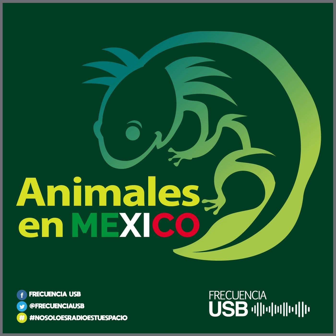 Animales en México - Podcasts