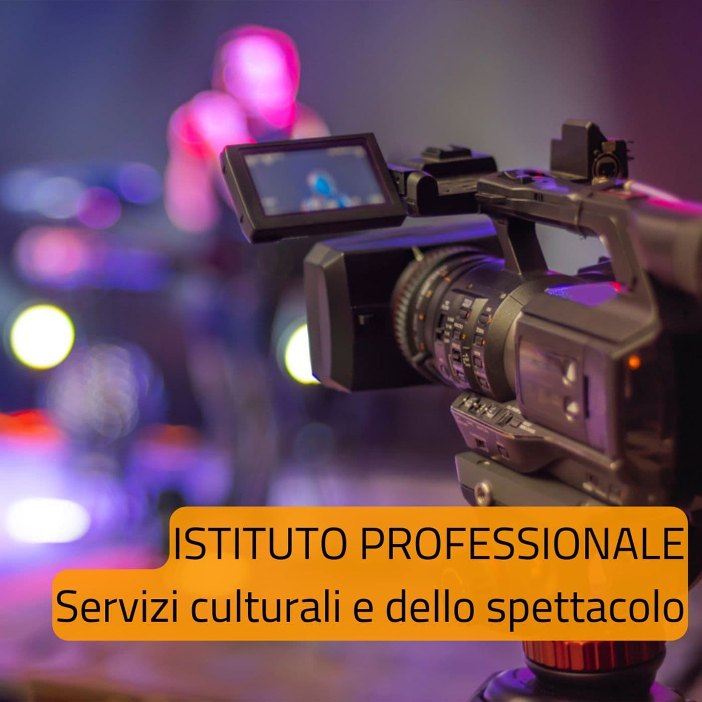 Istituto Piaget-Diaz del Quadraro