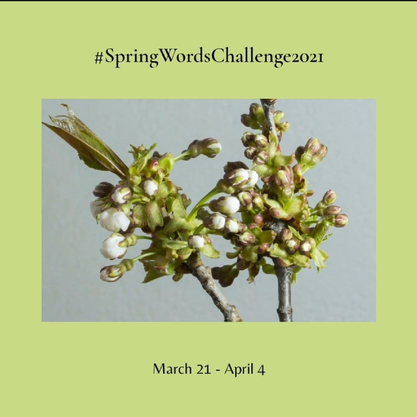 Spring WORDS - PAROLE di Primavera - Podcasts