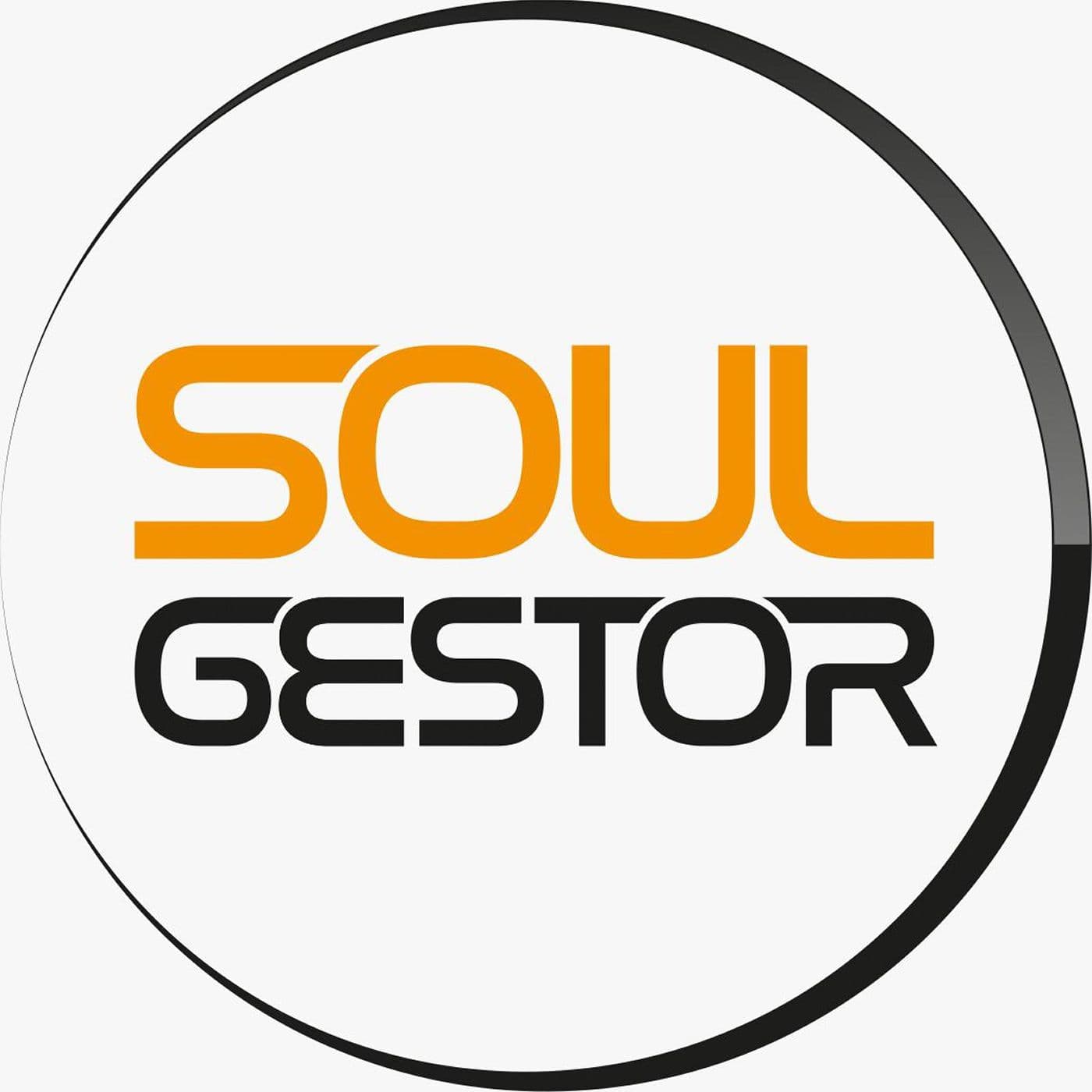 Soul Gestor - Empreendedorismo com Leandro Martins - Podcasts