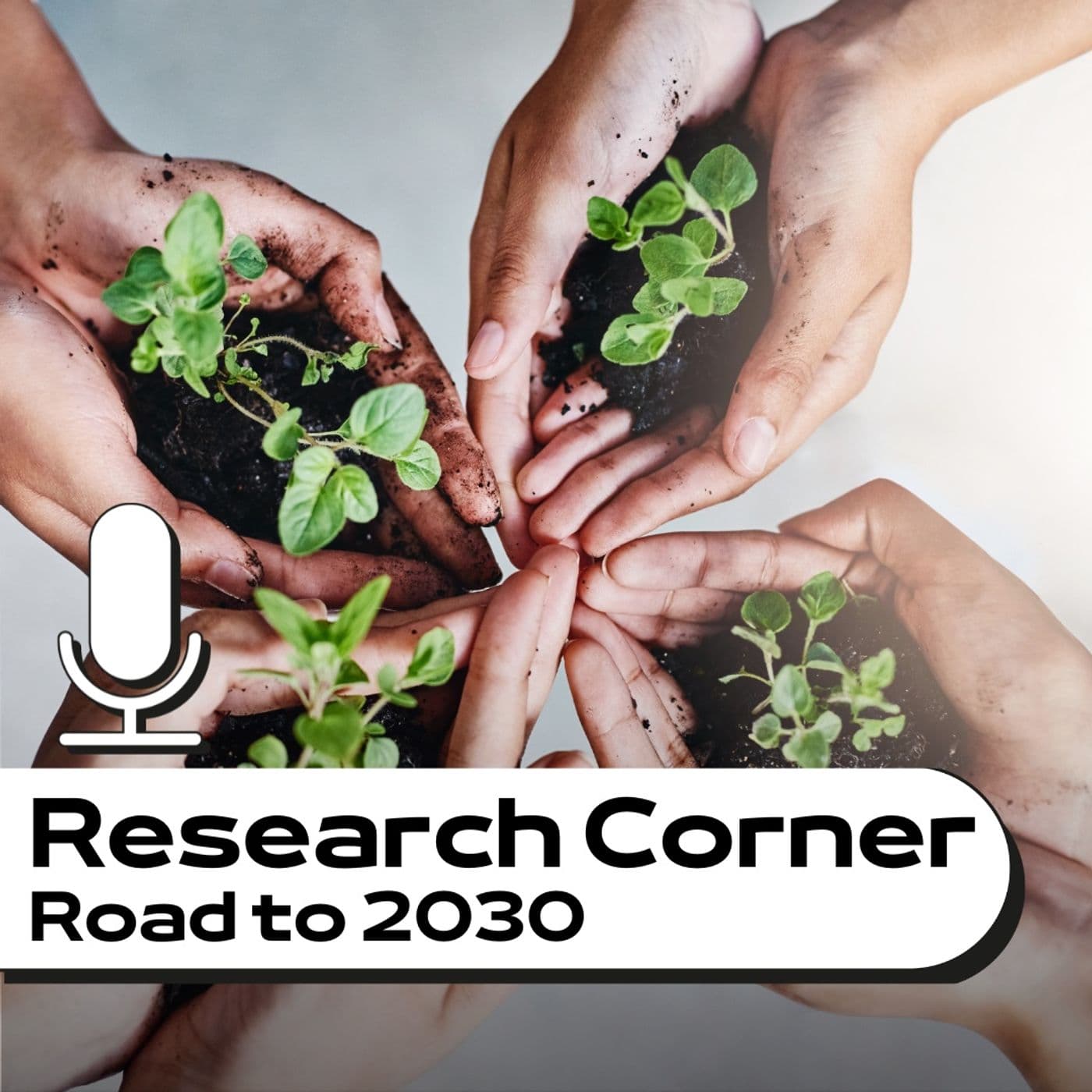 Research Corner - Road to 2030 - UniBo - Podcasts
