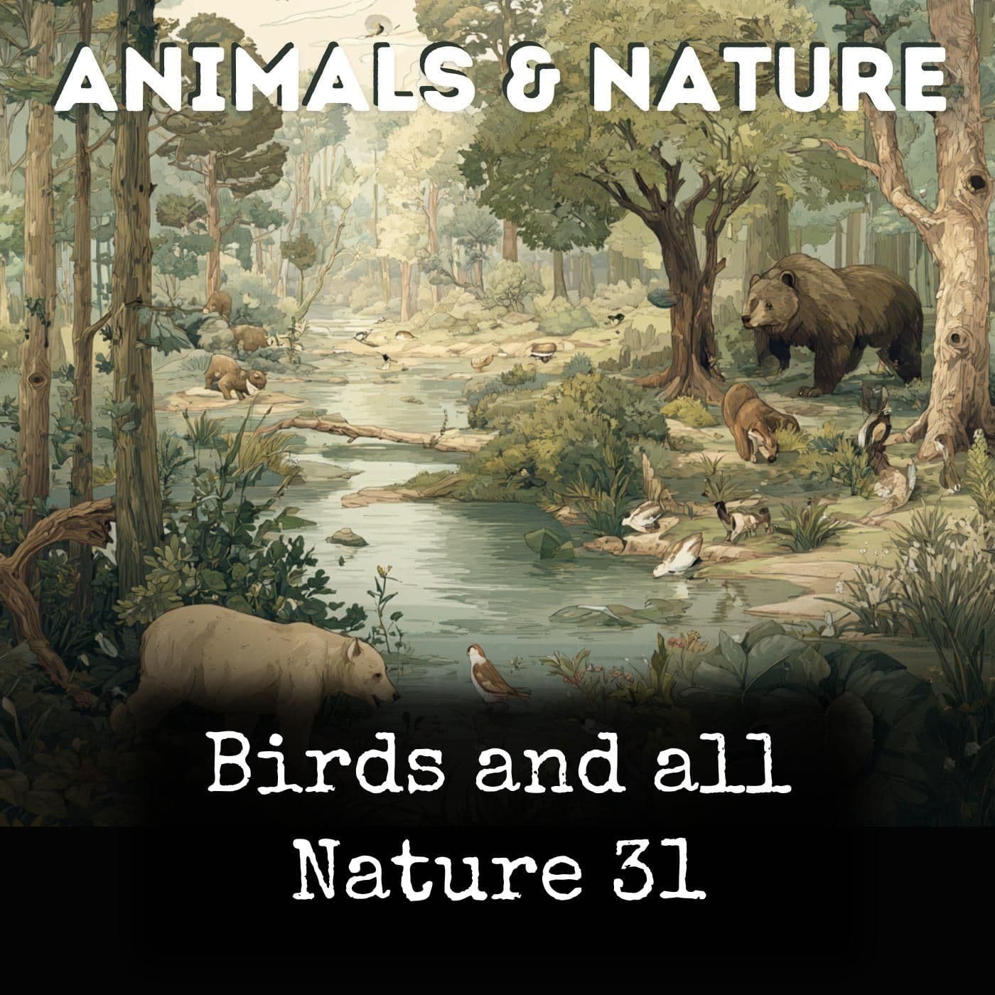 Birds and all Nature 31 - Podcasts