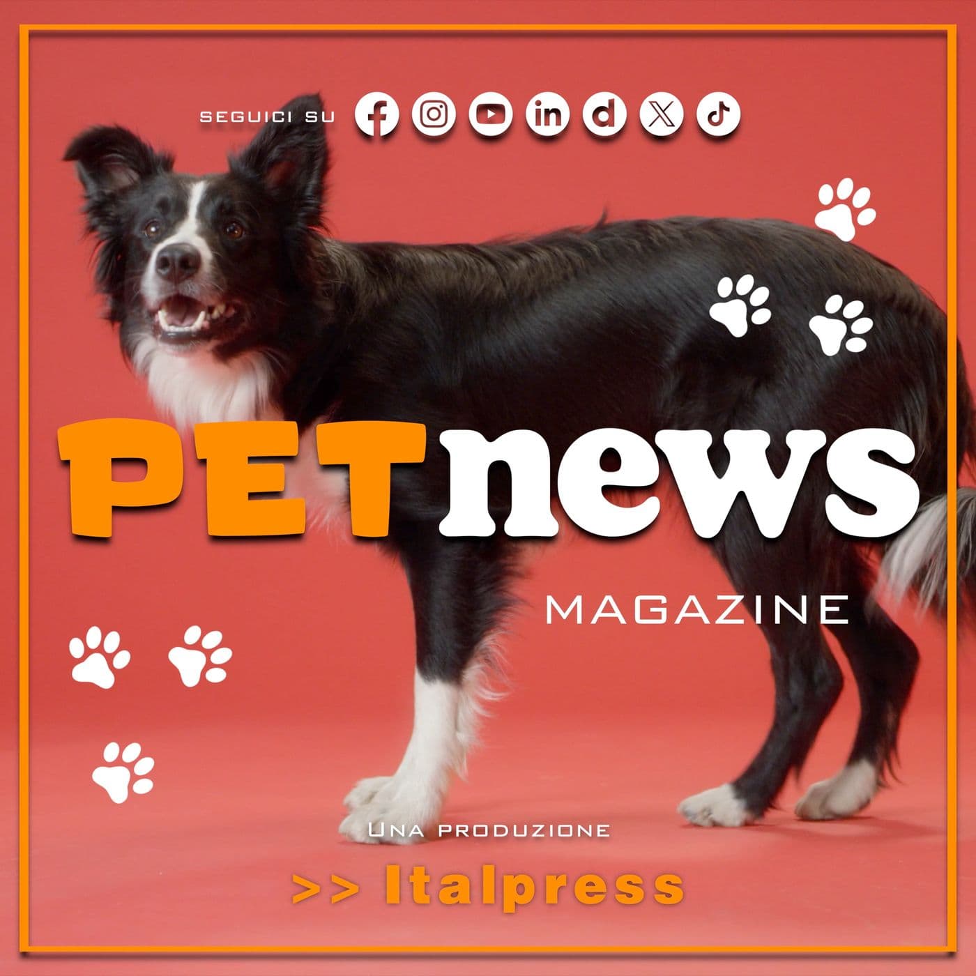 PetNews Magazine - Podcasts