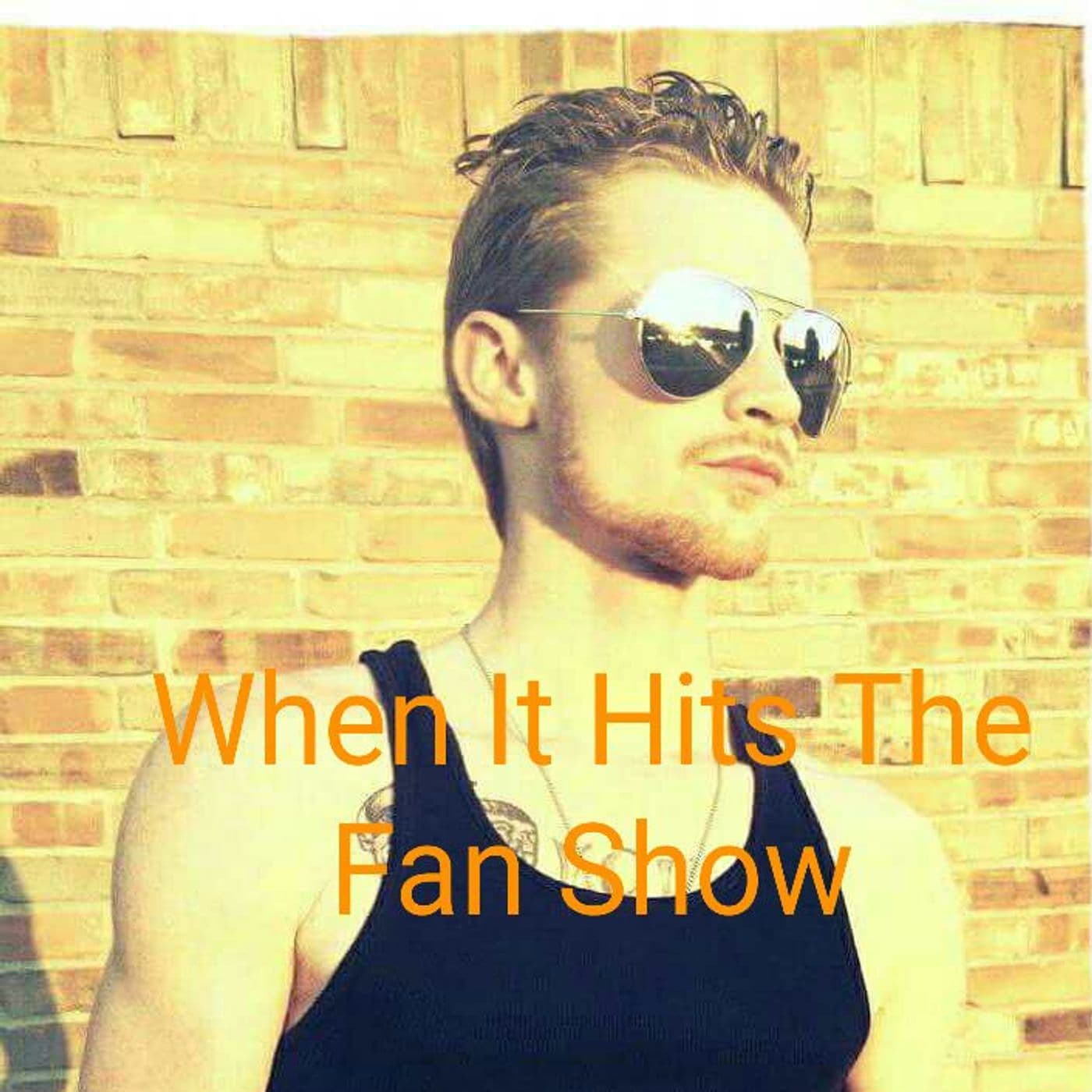 When It Hits The Fan Show - Podcasts
