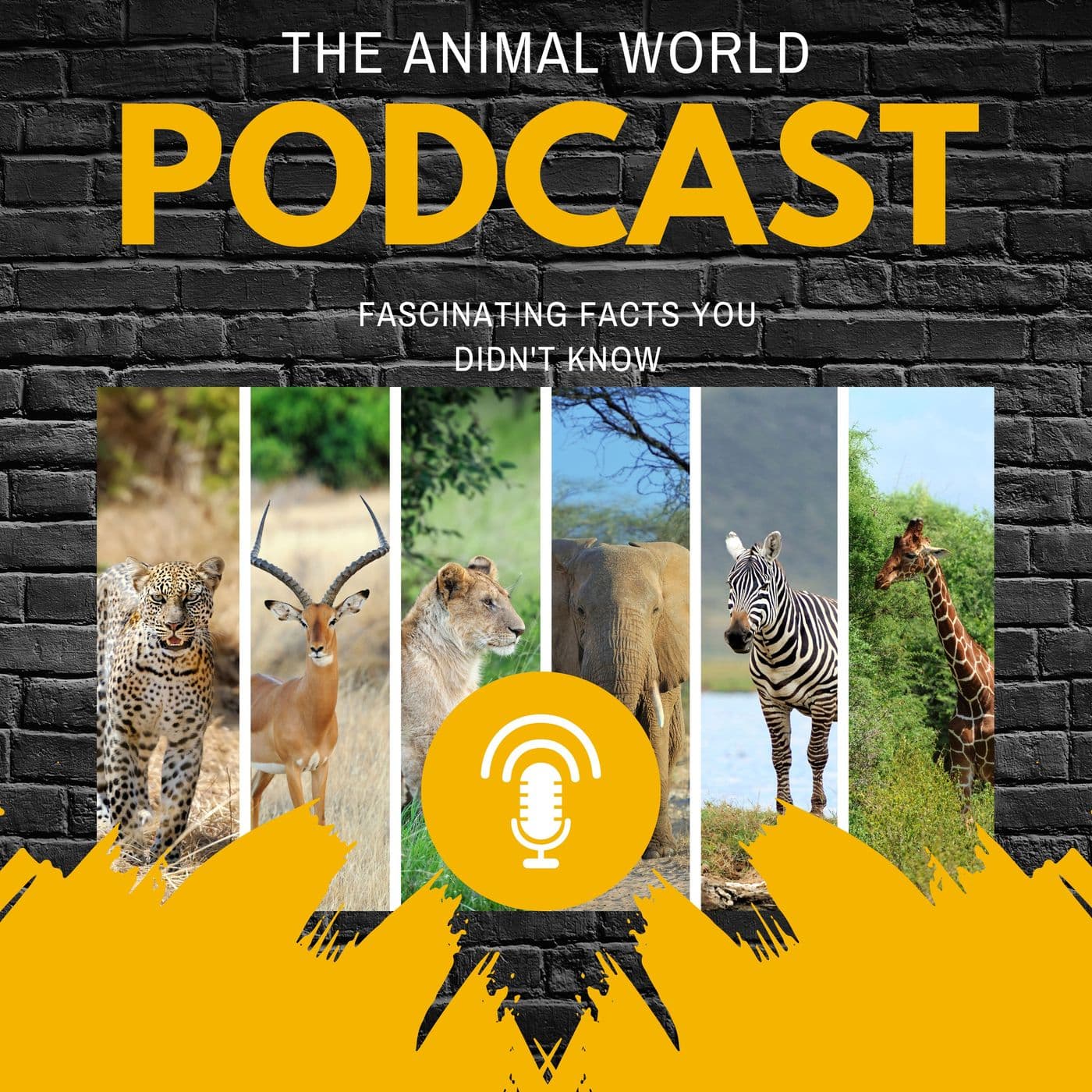The Animal World - Fascinating Facts You Didn't Know - Podcasts