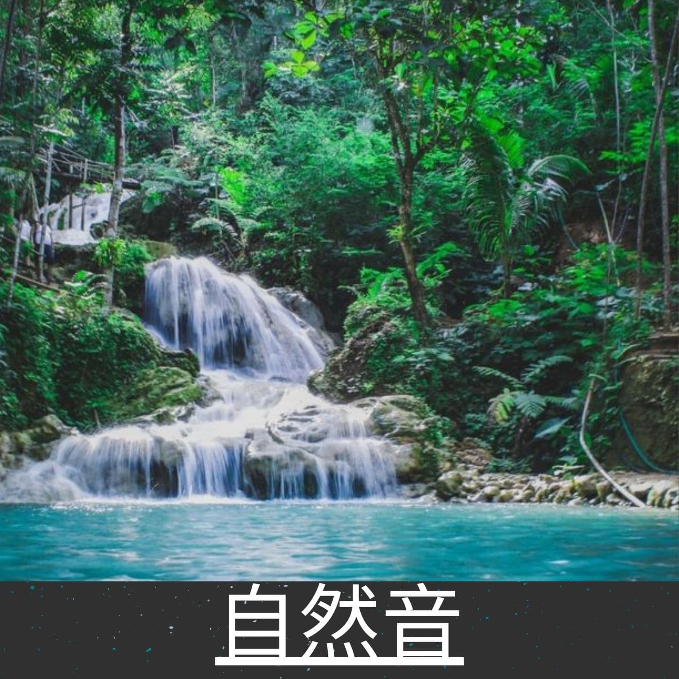 自然音