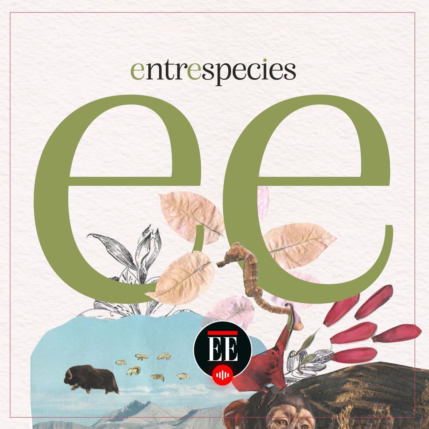 Entrespecies - Podcasts
