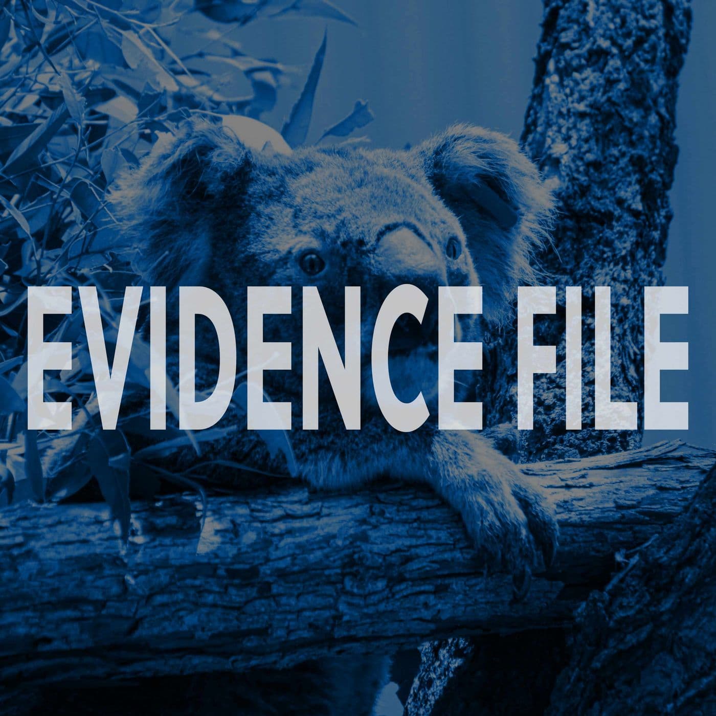 Evidence File - Podcasts