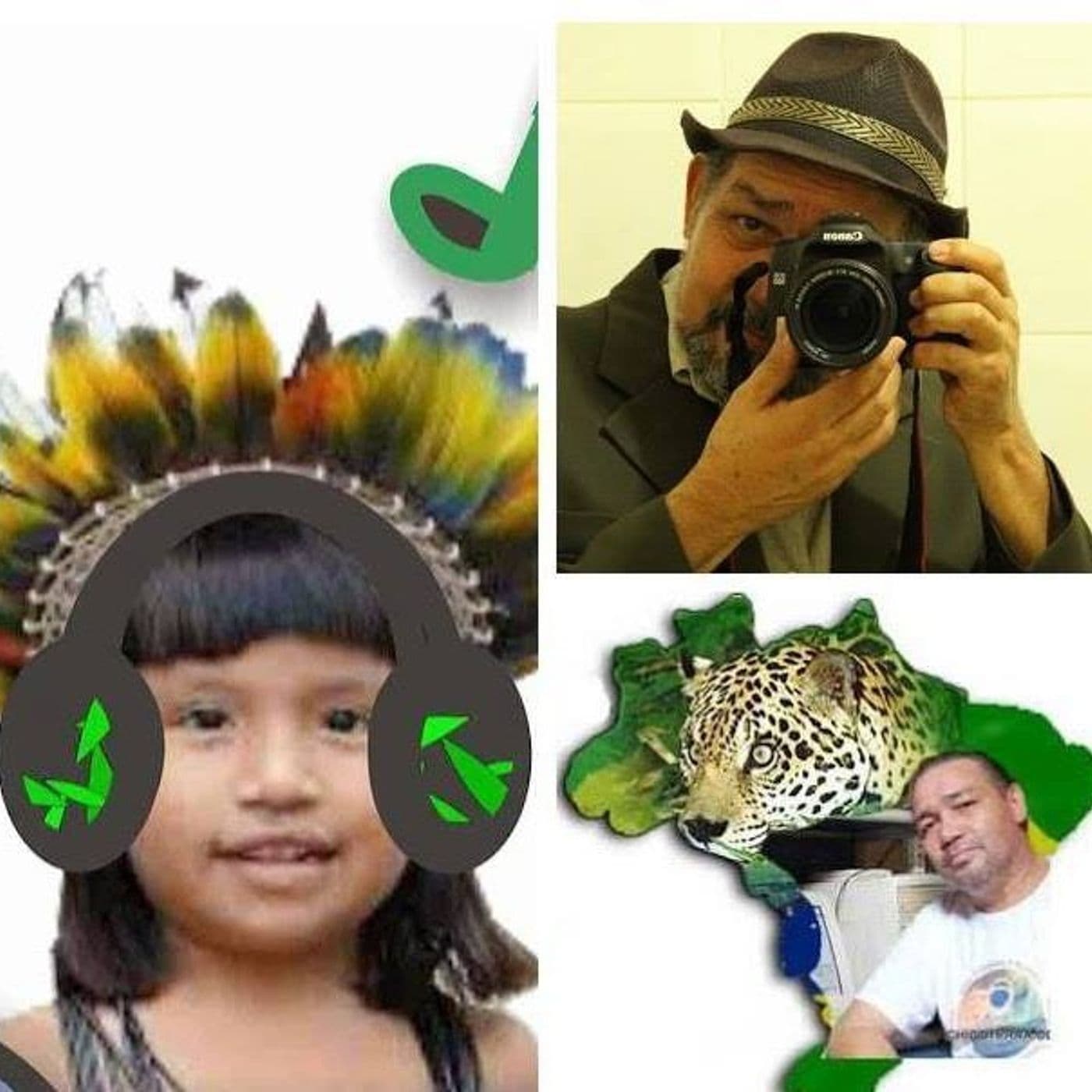Notícias da Amazônia e do Brasil ao vivo