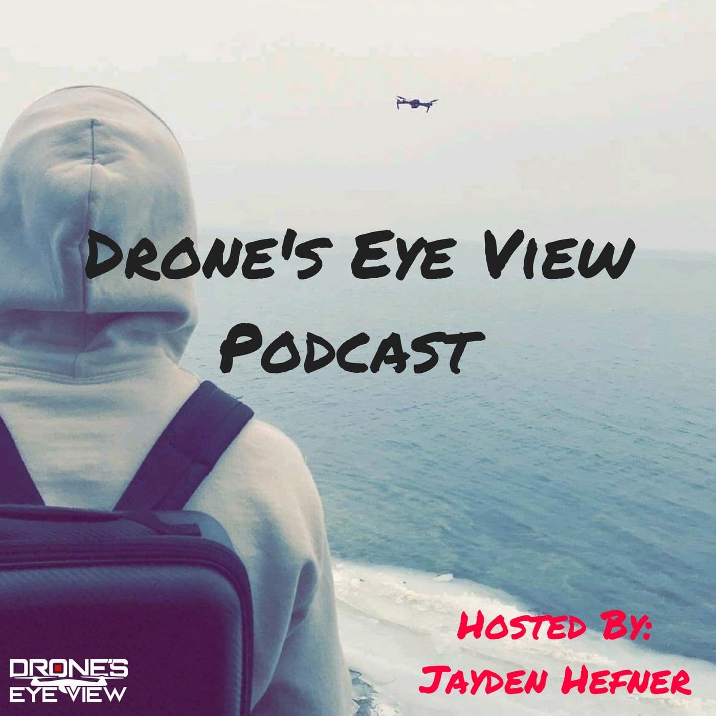 Drone's Eye View Podcast - Podcasts