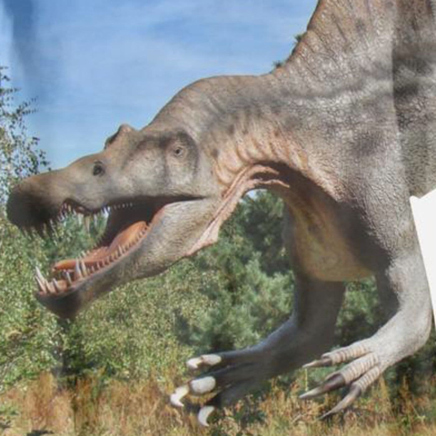 Dinolandia Cuentos de dinosaurios de José Pardal - Podcasts
