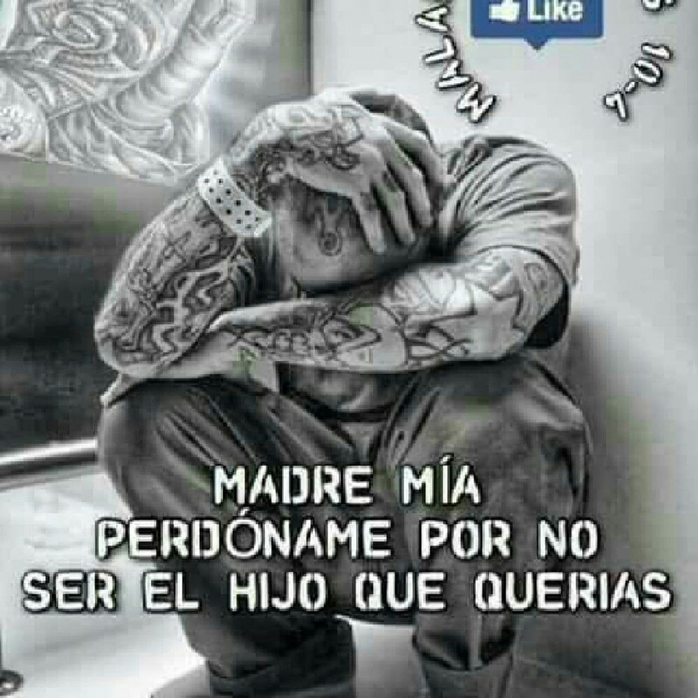 Sur 13