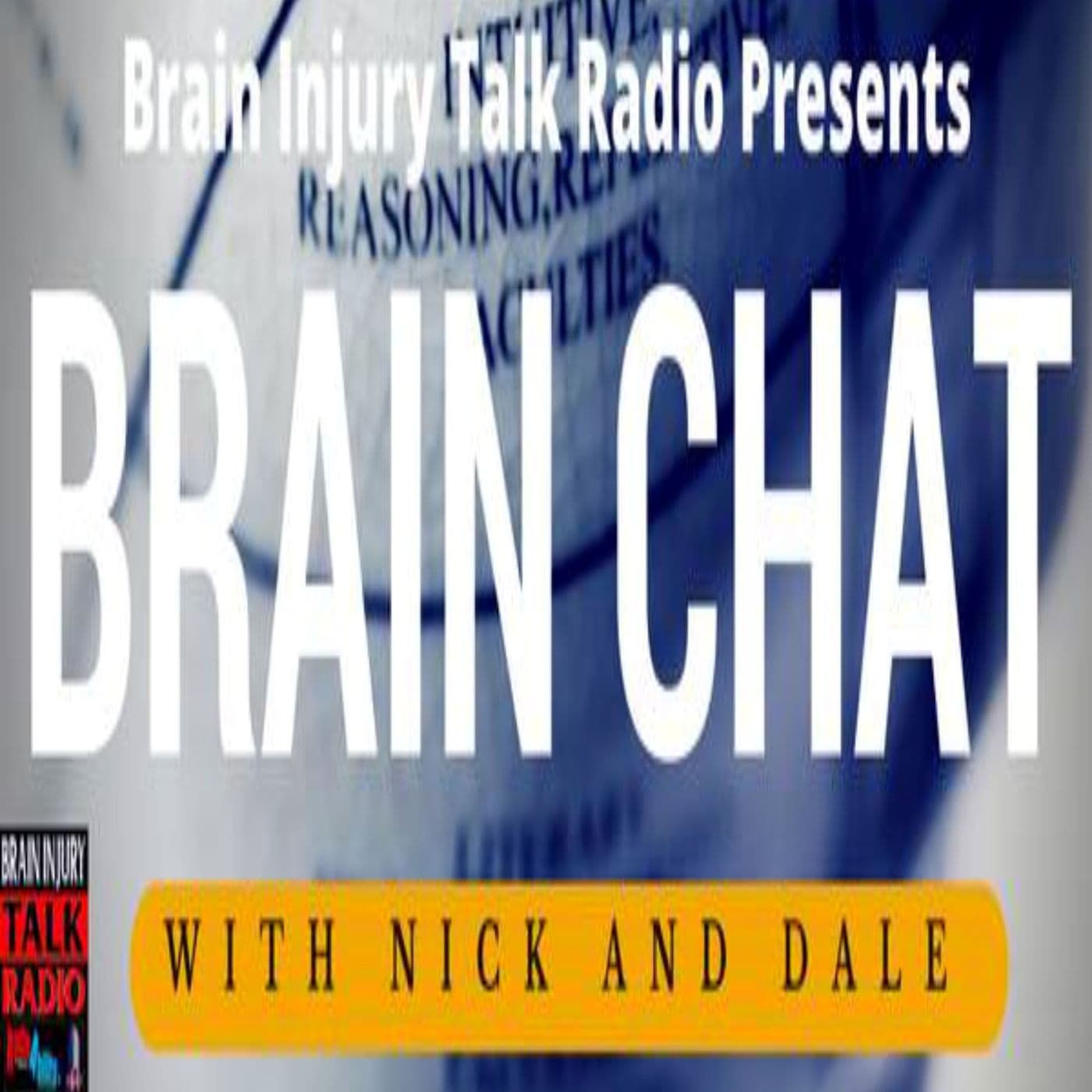 Nick and Dale Brain Chat