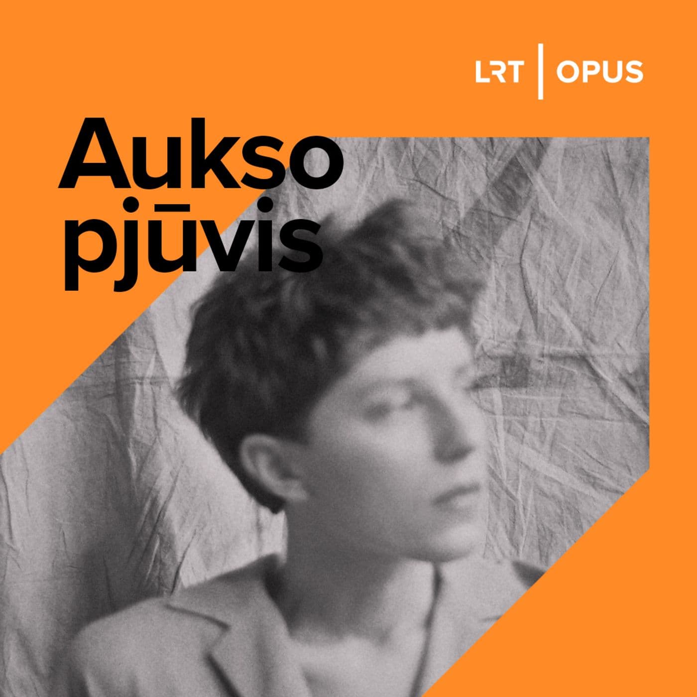 Aukso pjūvis - Podcasts