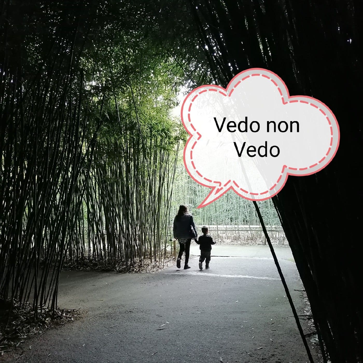 Vedo Non Vedo - Podcasts