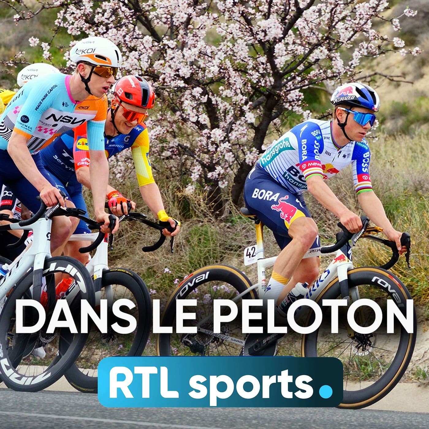 Dans le peloton