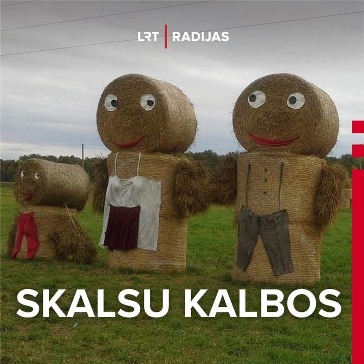 Skalsu kalbos - Podcasts