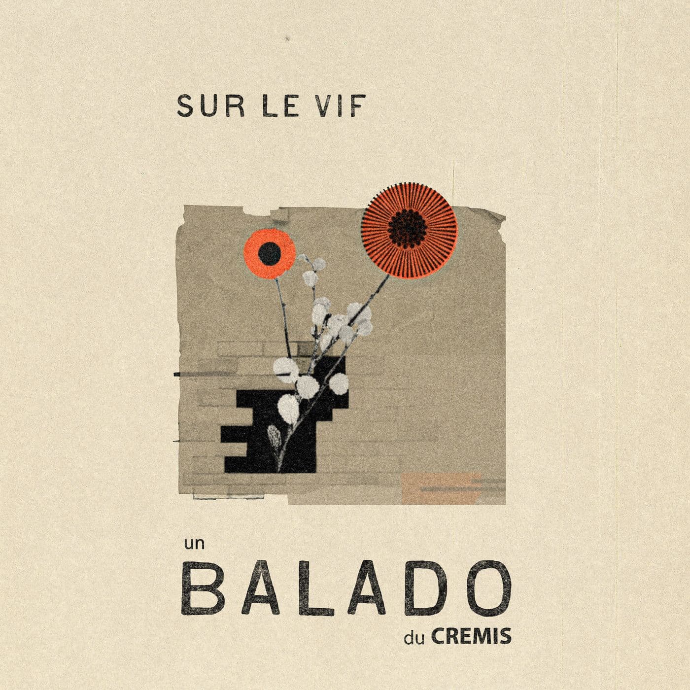 Sur le vif - balado du CREMIS - Podcasts