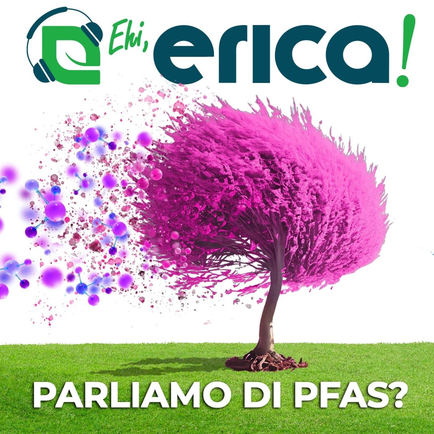 Ehi, Erica! Parliamo di PFAS? - Podcasts