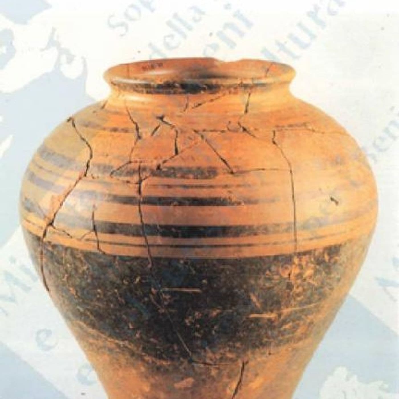 didattica museale - audiodescrizioni - Podcasts
