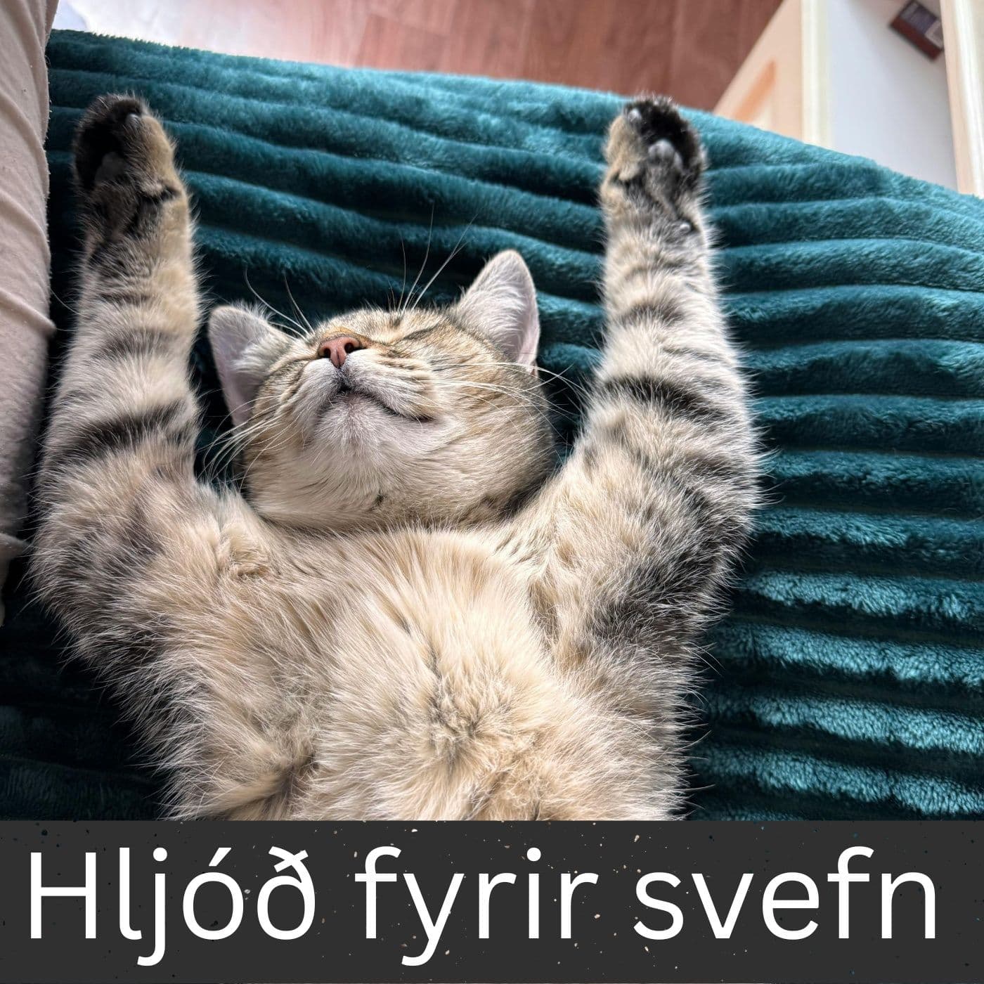 Hljóð fyrir svefn - Podcasts